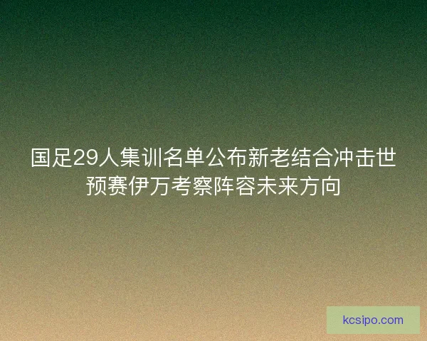 国足29人集训名单公布新老结合冲击世预赛伊万考察阵容未来方向